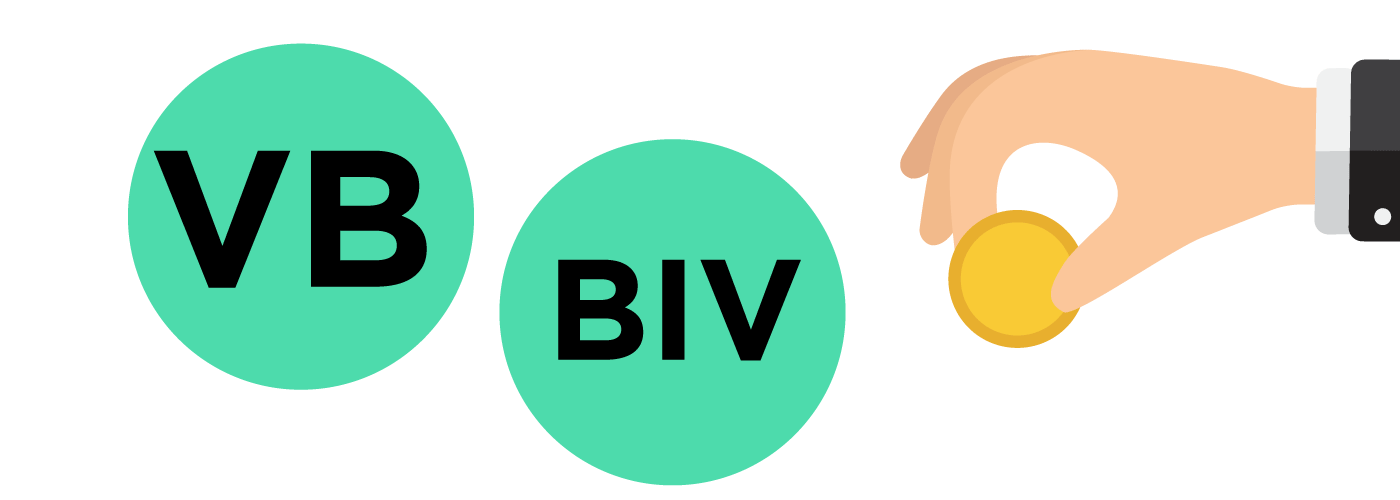 VB BIV belastingen